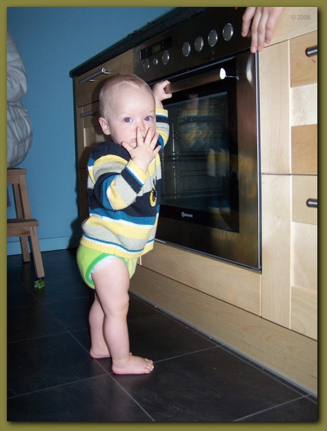 449x598 pixels (215K)